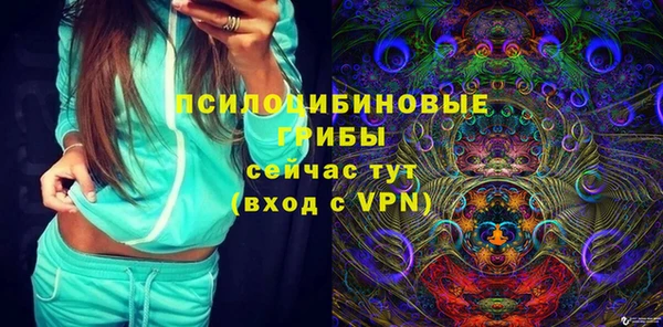 молекула духа Алексеевка
