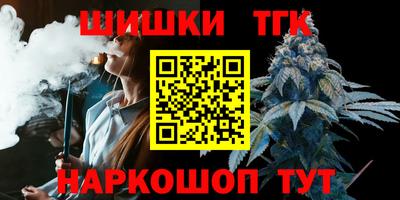 мдпв Бердск