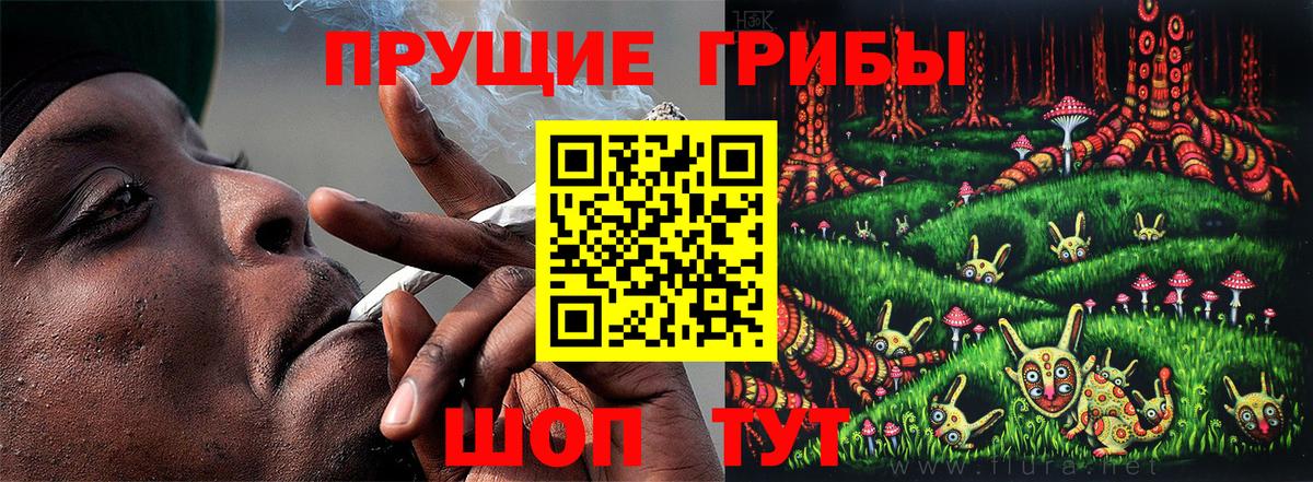 купить  сайты  Галлюциногенные грибы мицелий  Галлюциногенные грибы MAGIC MUSHROOMS  Вход с VPN  Слободской 